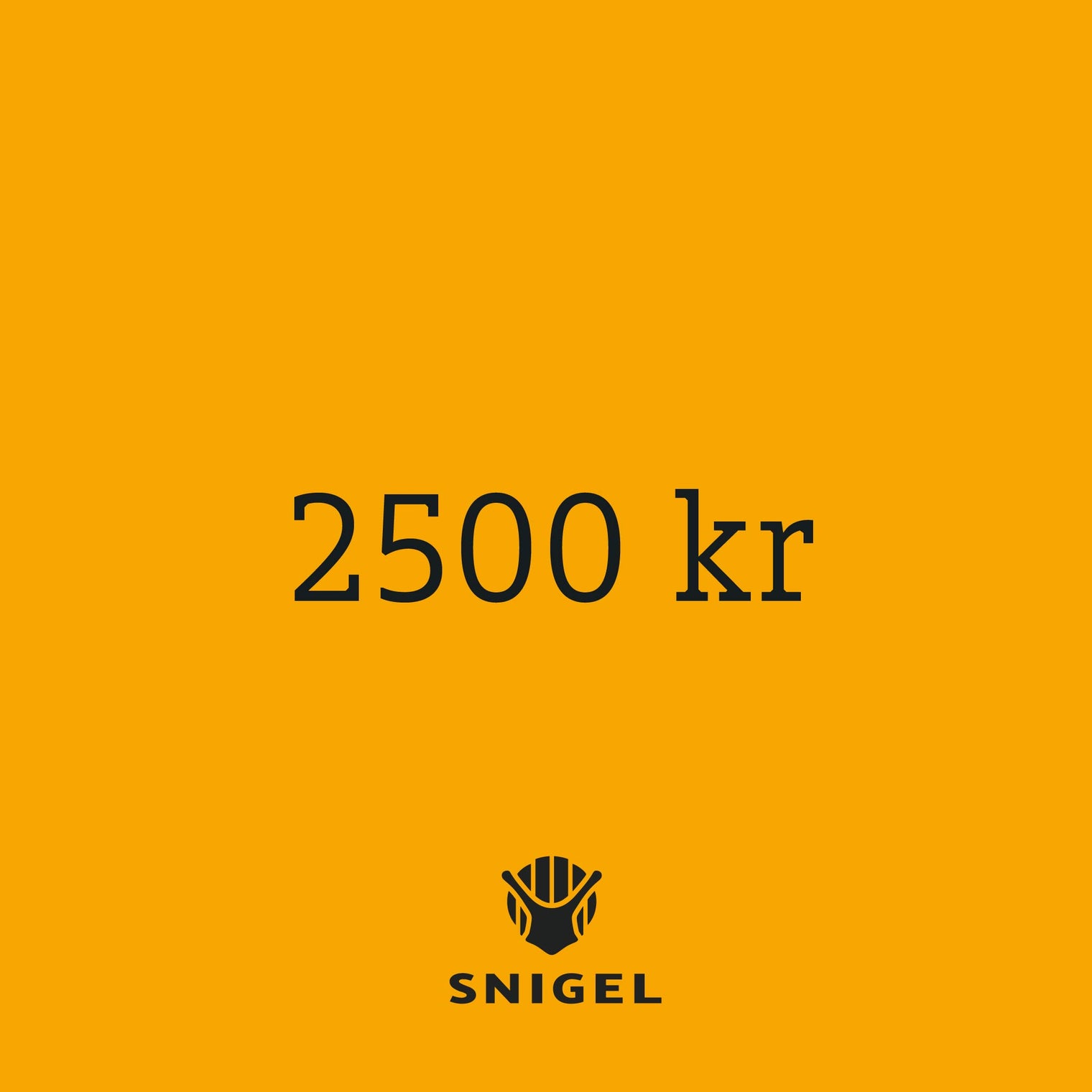 Digital Gift Card – 2 500 kr