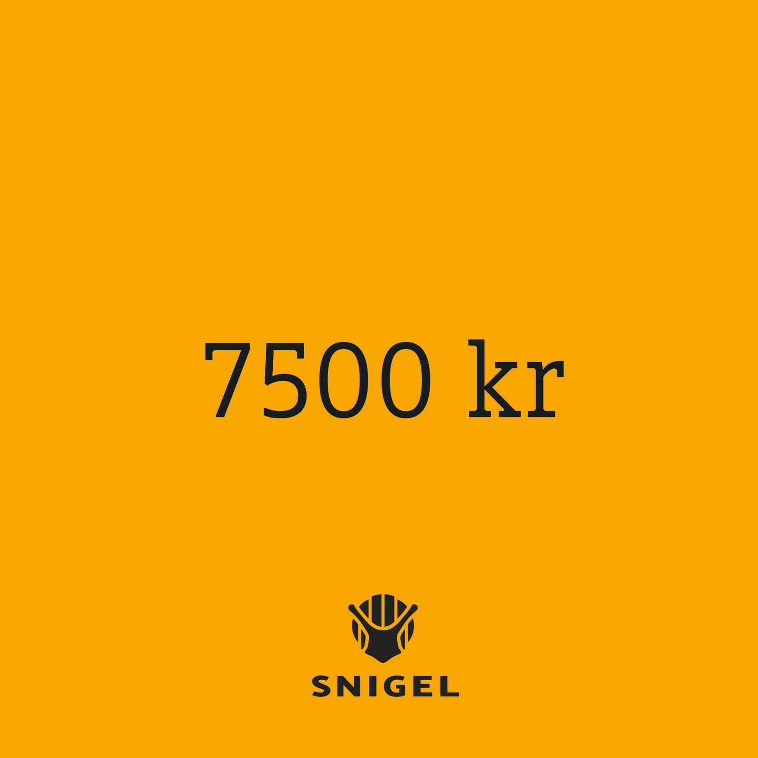 Digital Gift Card – 7 500 kr