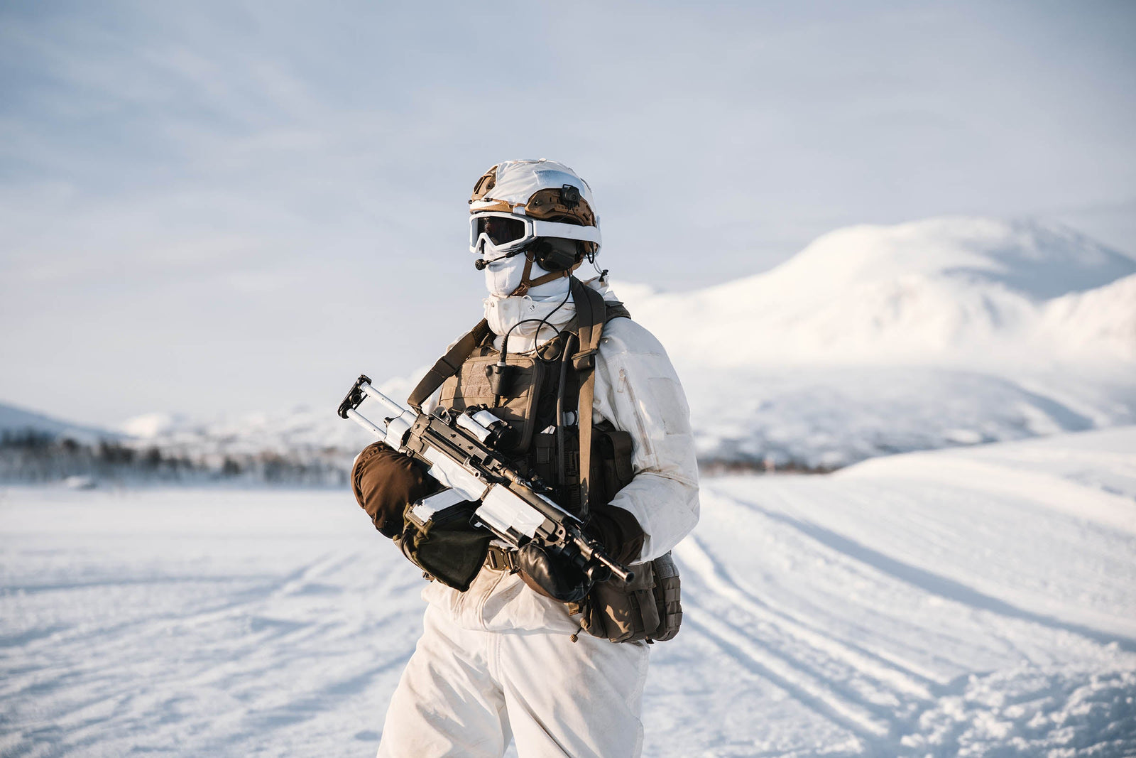 Plate Carriers
