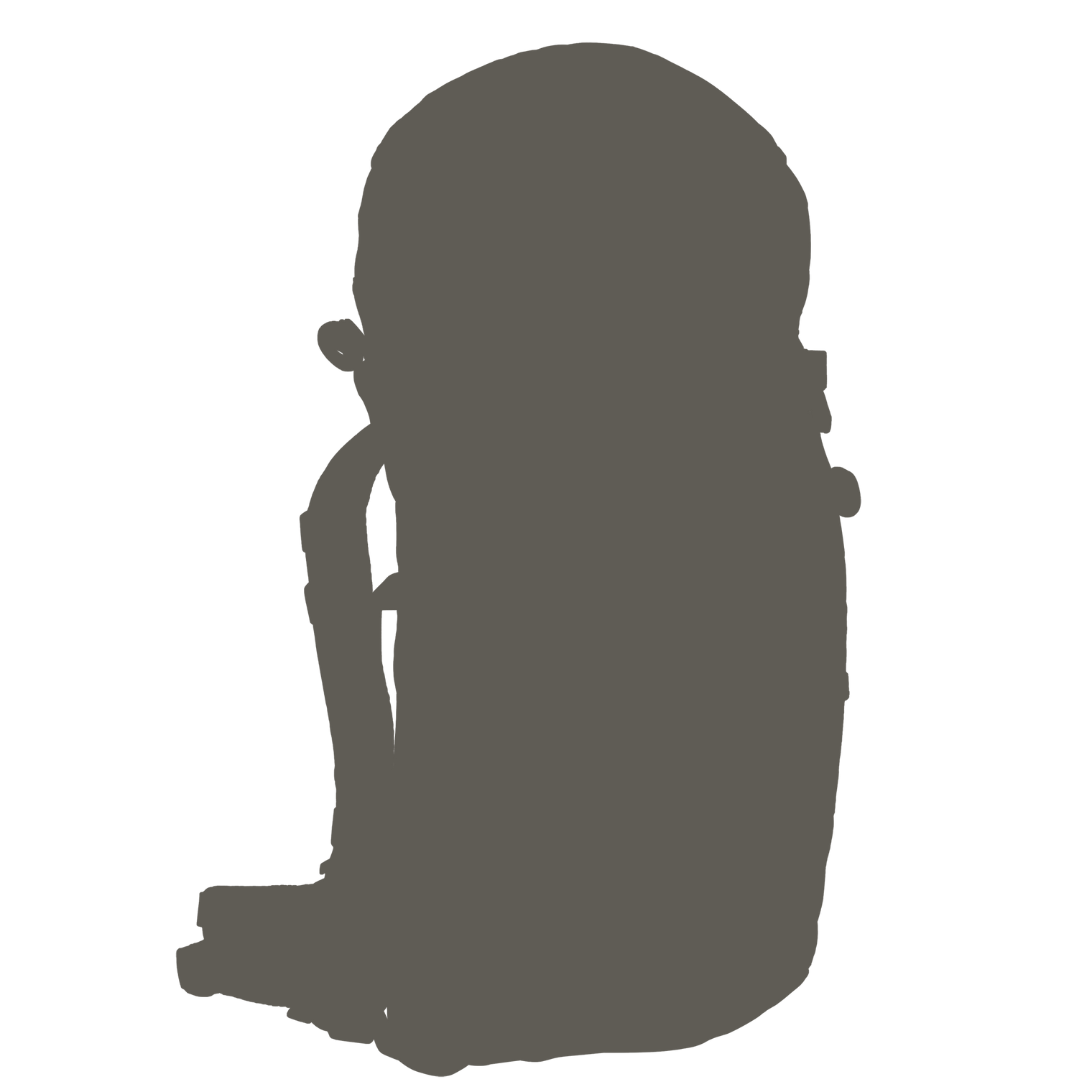 Custom Carrying Solution