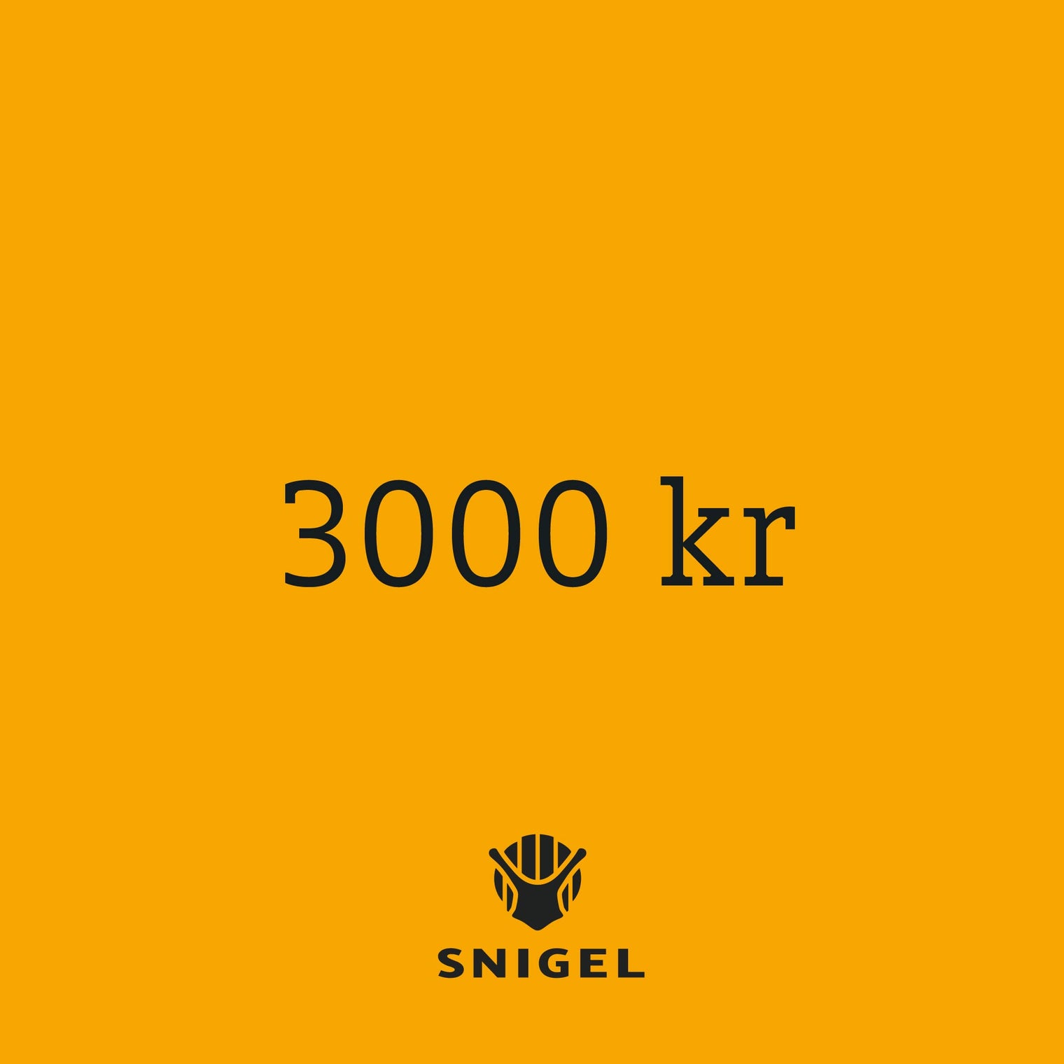 Digital Gift Card – 3 000 kr